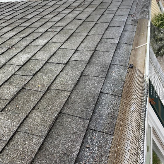 Other: Clean Pro Gutter Cleaning Oakland